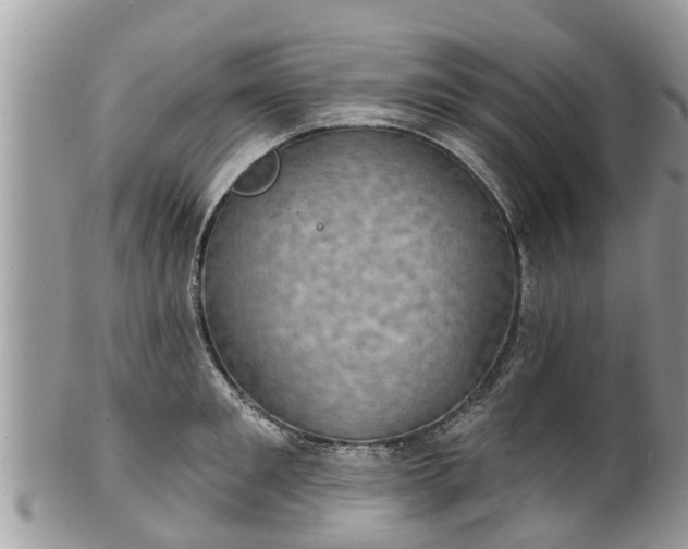 X0000102040901200807251411