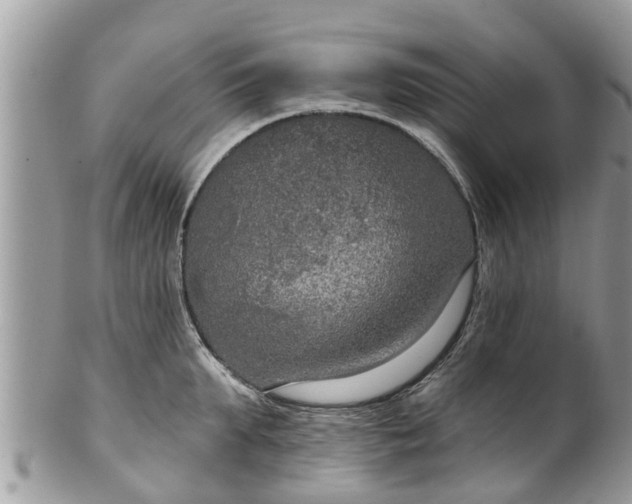 X0000102040903200807251411