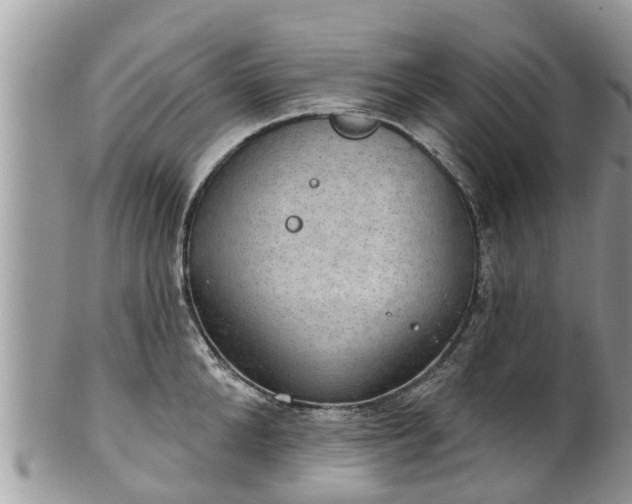 X0000102040904200807251411