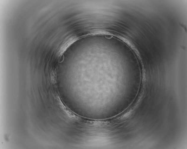 X0000102040905200807251411