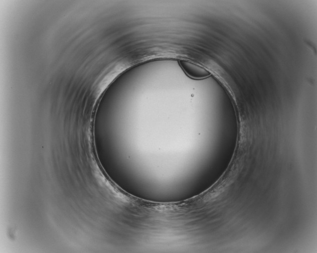 X0000102040906200807251411