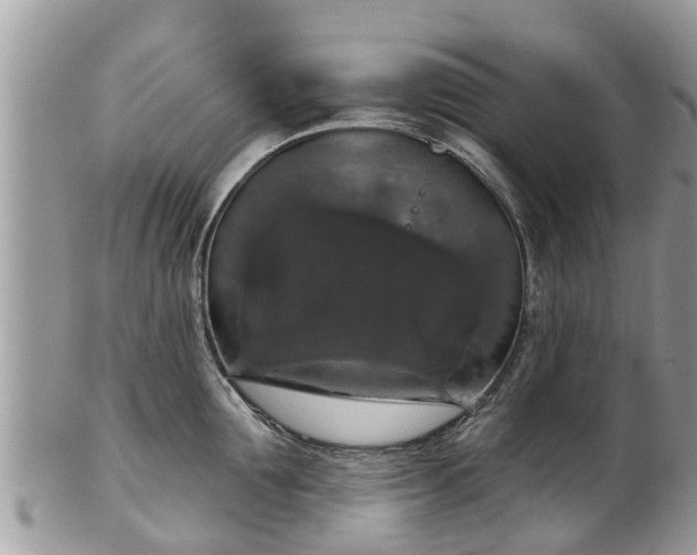 X0000102040907200807251411