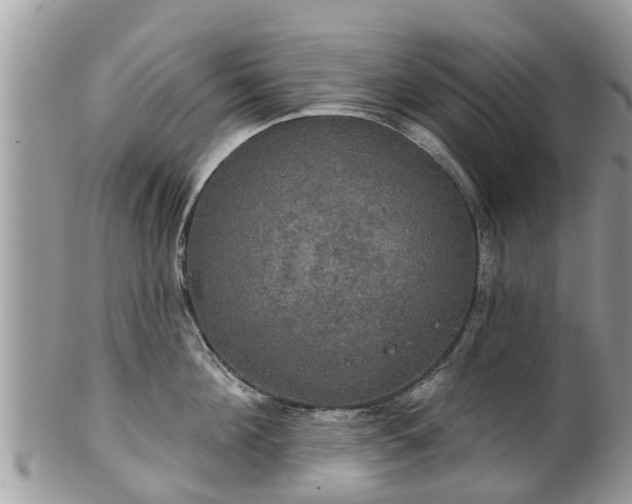 X0000102040908200807251411