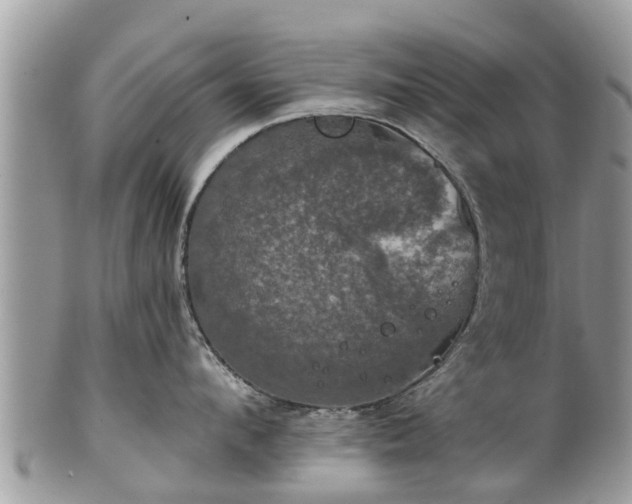 X0000102040912200807251411