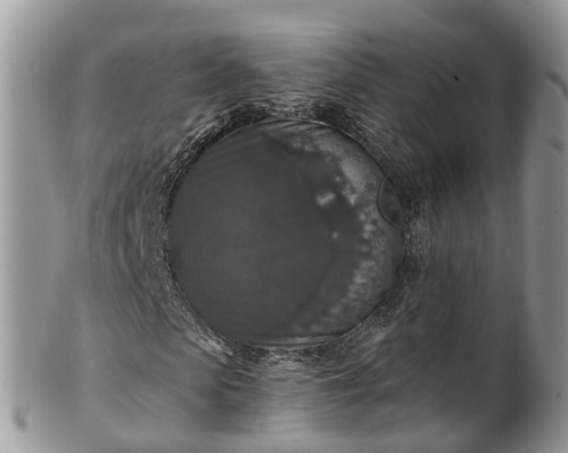 X0000102040913200807251411