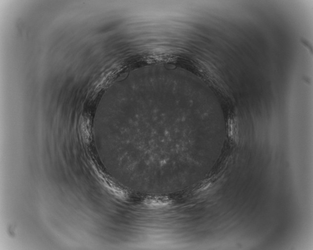 X0000102040915200807251411