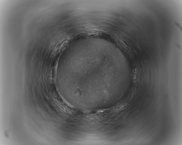 X0000102040916200807251411