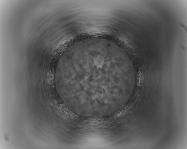 X0000102040917200807251411