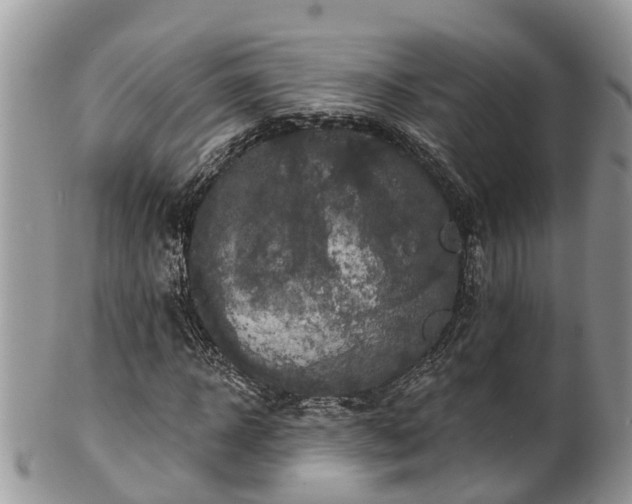 X0000102040918200807251411