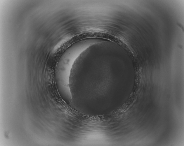 X0000102040919200807251411