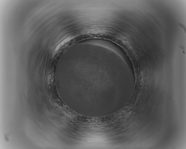 X0000102040920200807251411