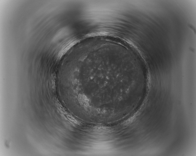 X0000102040921200807251411