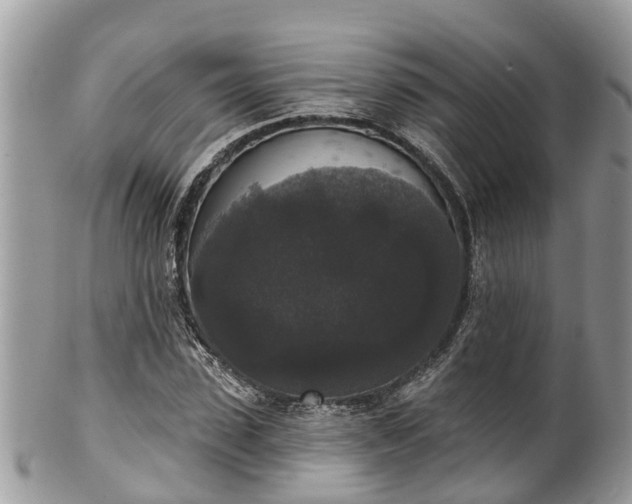 X0000102040923200807251411