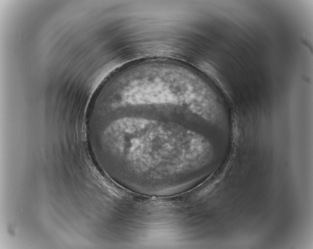 X0000102040924200807251411