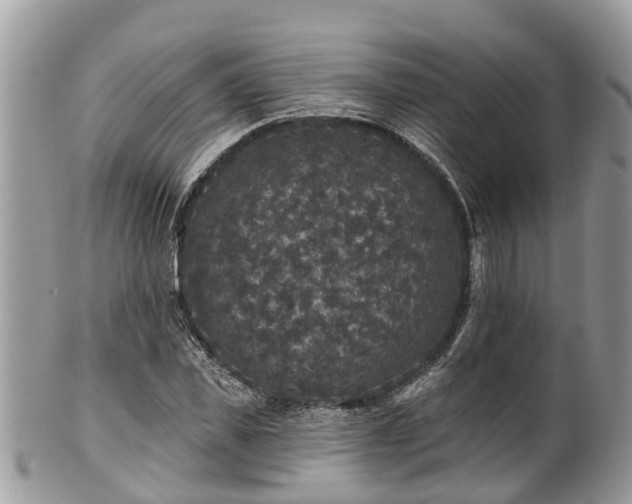 X0000102040925200807251411