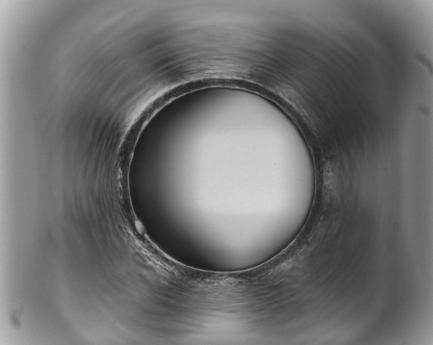 X0000102040926200807251411