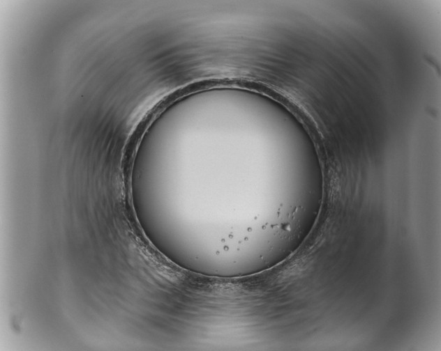 X0000102040927200807251411