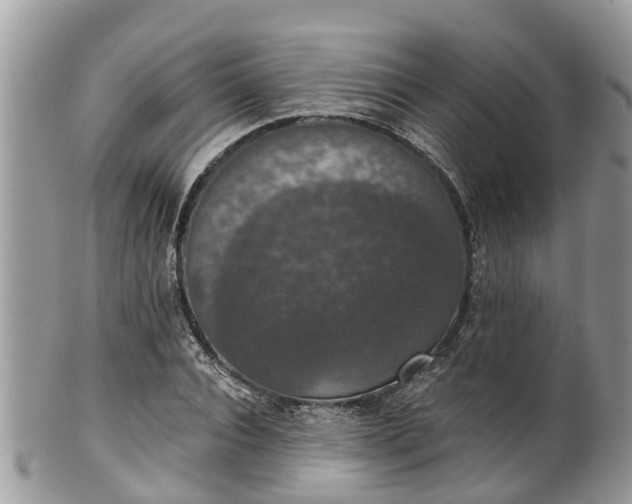 X0000102040928200807251411