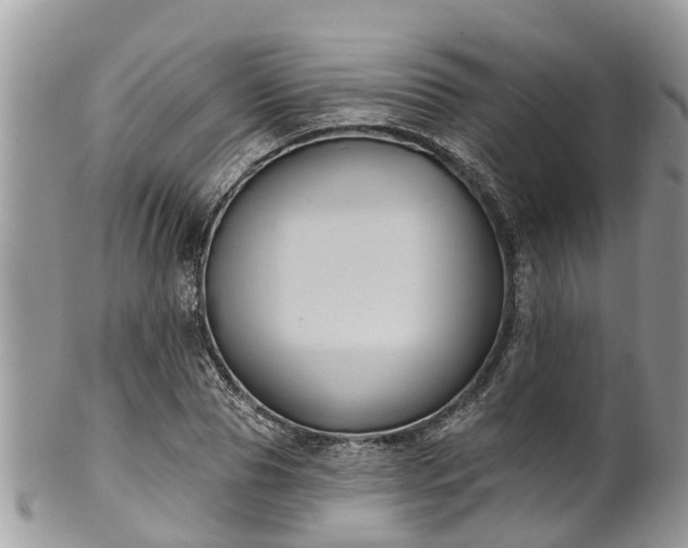 X0000102040929200807251411