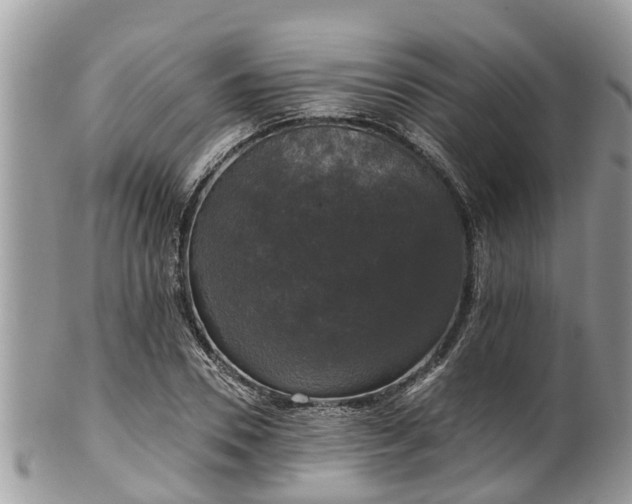 X0000102040930200807251411