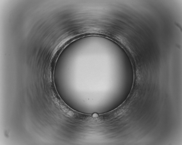 X0000102040931200807251411