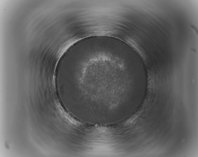 X0000102040932200807251411