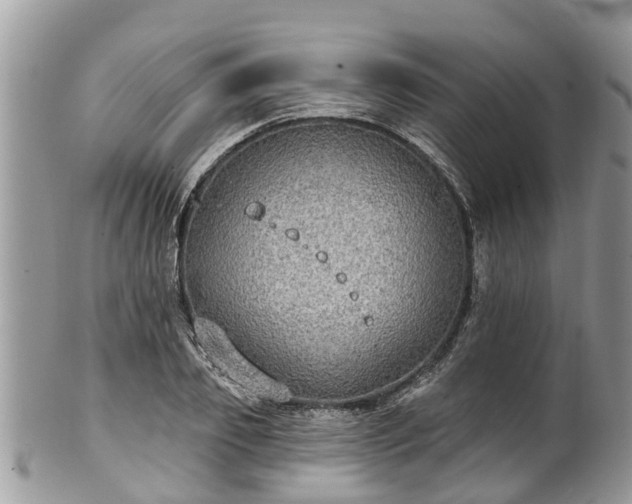 X0000102040933200807251411