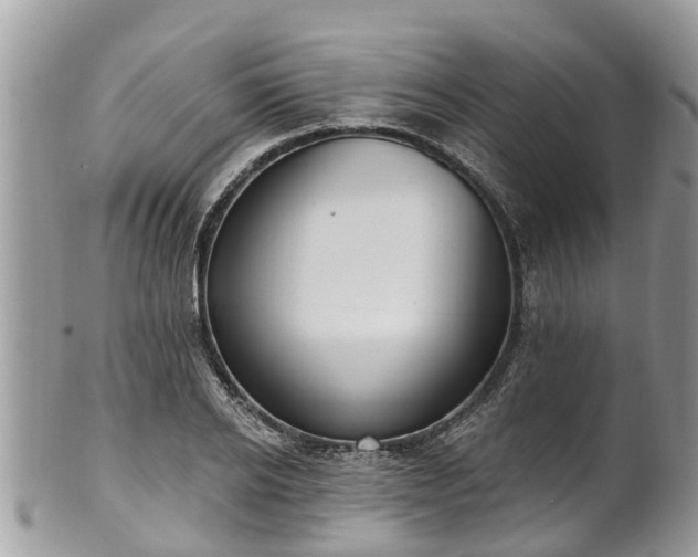 X0000102040934200807251411