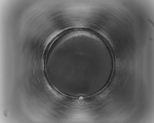 X0000102040935200807251411