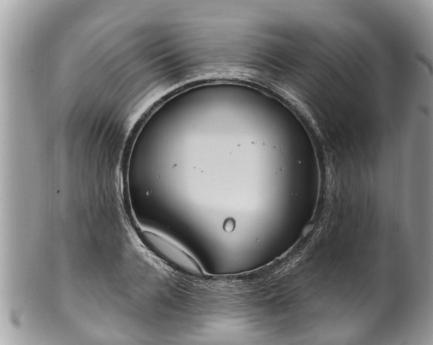 X0000102040936200807251411