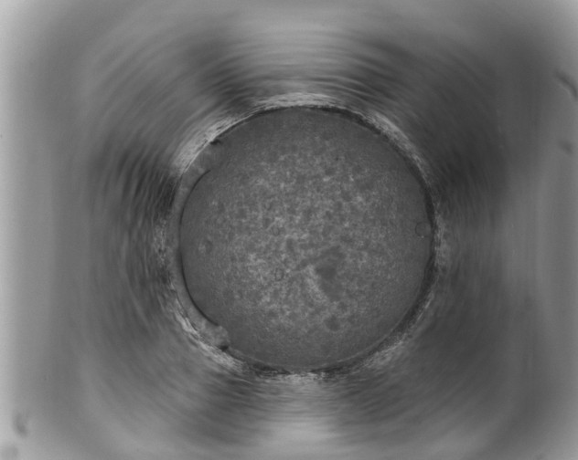 X0000102040937200807251411