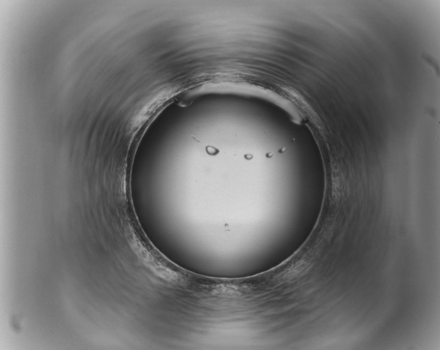 X0000102040938200807251411