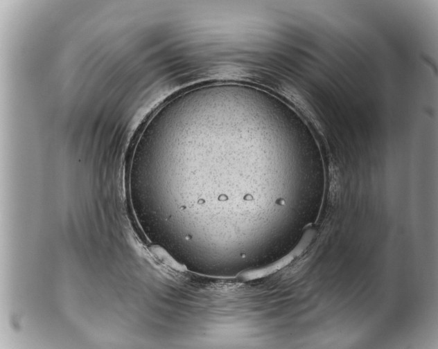 X0000102040939200807251411