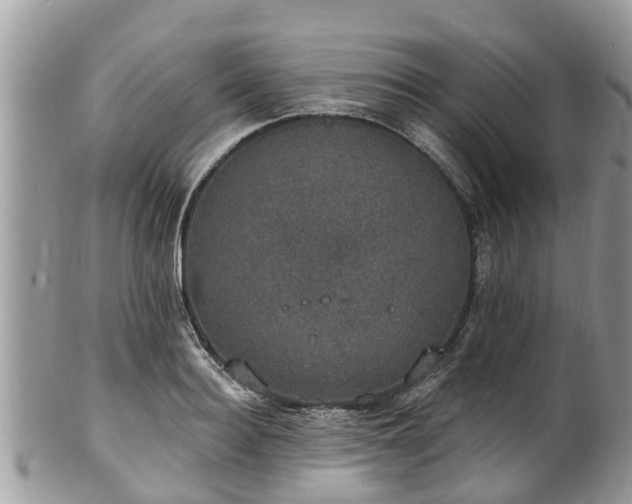 X0000102040940200807251411