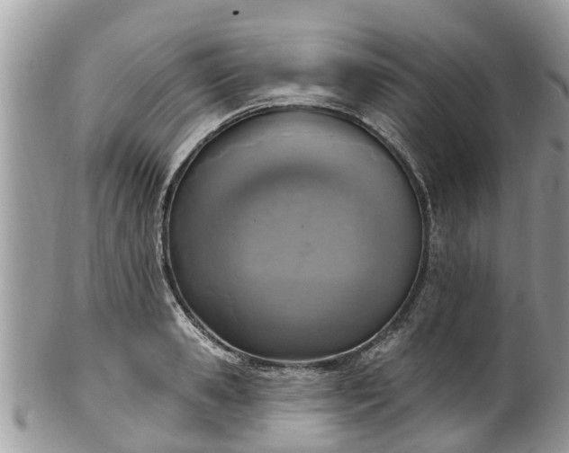 X0000102040941200807251411