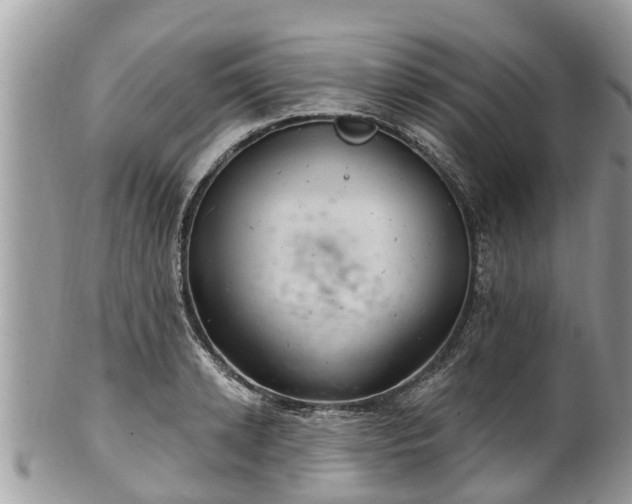 X0000102040942200807251411