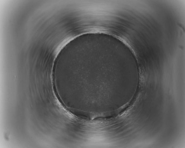 X0000102040943200807251411