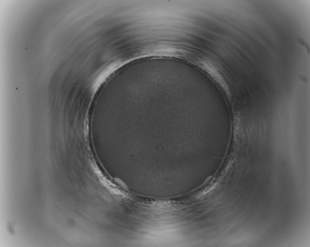 X0000102040944200807251411