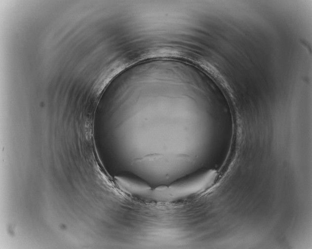 X0000102040945200807251411