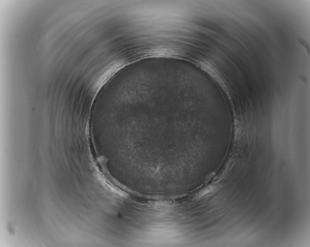 X0000102040946200807251411