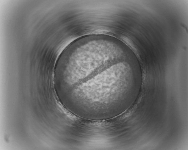 X0000102040948200807251411