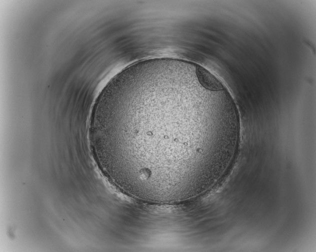 X0000102040949200807251411