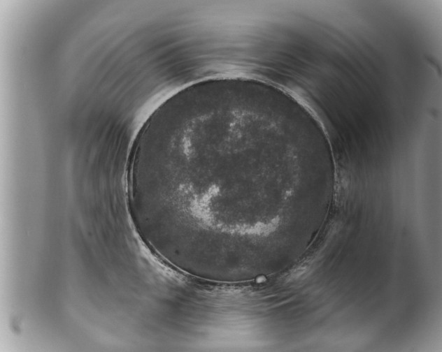 X0000102040951200807251411