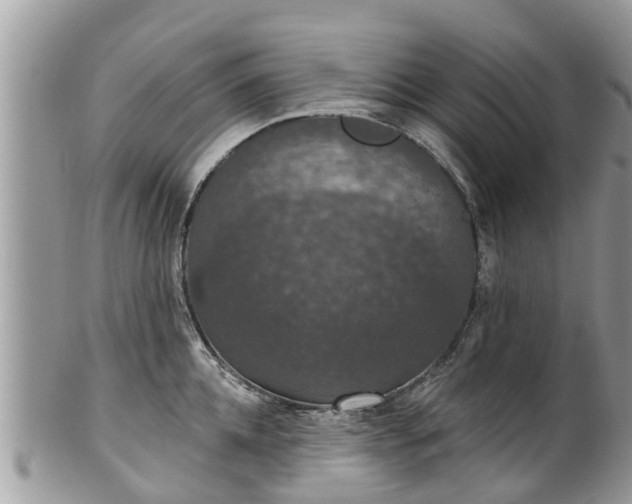 X0000102040952200807251411