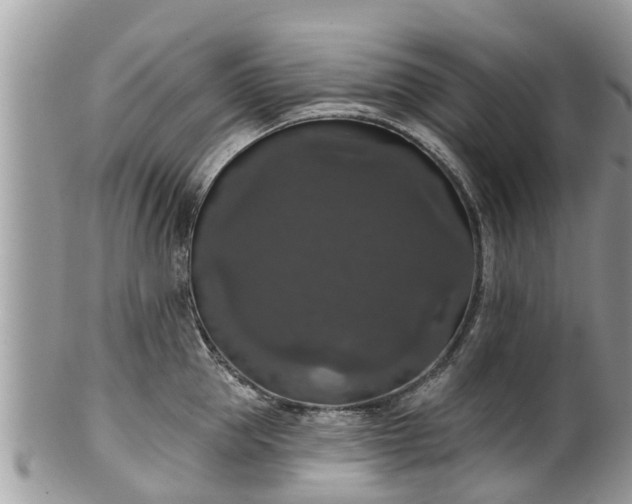 X0000102040953200807251411