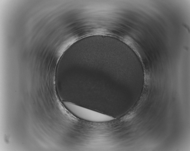 X0000102040954200807251411