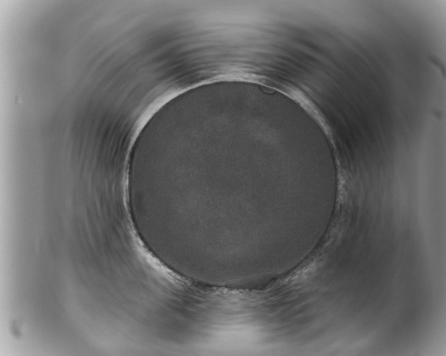 X0000102040955200807251411