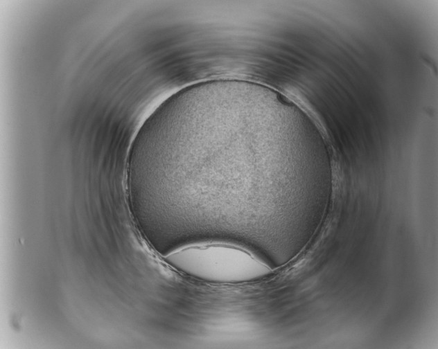 X0000102040956200807251411