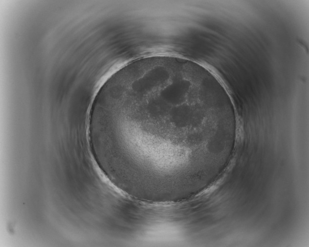 X0000102040957200807251411