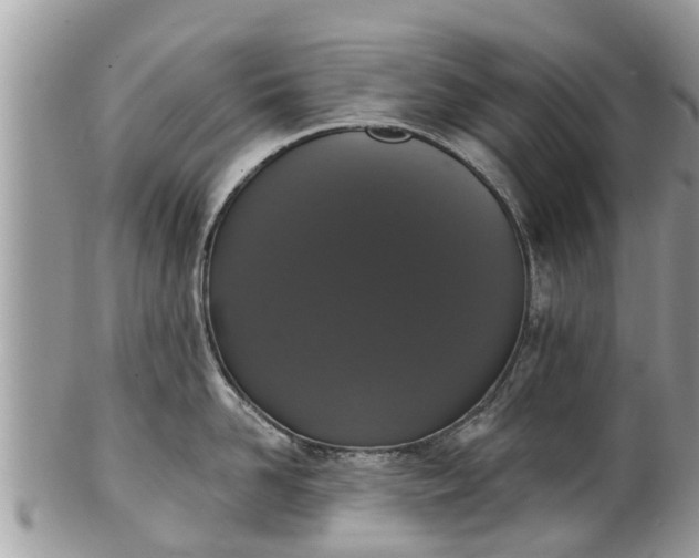 X0000102040958200807251411